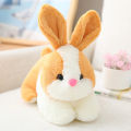 Bunny plush toy cute Baby doll Rabbit rag doll children birthday gift.