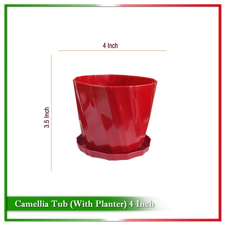 4%20Inch%20Camellia%20Tub%20With%20Tray%20%20-%202%20Pcs%20-%20Image%202