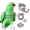 Ringneck Parrot Leg Ring Safety with Harness 60 Inc Long Combo full Set 1PCS. 