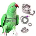 Ringneck Parrot Leg Ring Safety with Harness 60 Inc Long Combo full Set 1PCS.