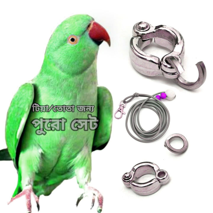 Ringneck Parrot Leg Ring Safety with Harness 60 Inc Long Combo full Set 1PCS