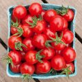 Cherry Tomato Red Color - 20 pcs Seed F1 Hybrid - চেরি টমেটো লাল.