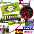 Fevicryl Water Based Glass Colour Kit 10 Or 6 Color for Glass Painting - water color. 