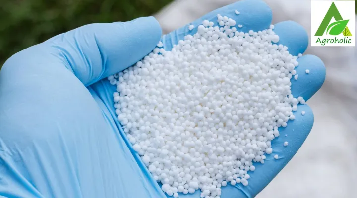Urea%20Fertilizer%20(%E0%A6%87%E0%A6%89%E0%A6%B0%E0%A6%BF%E0%A7%9F%E0%A6%BE%20%E0%A6%B8%E0%A6%BE%E0%A6%B0)%20-5%20%E0%A6%95%E0%A7%87%E0%A6%9C%E0%A6%BF%20-%20Image%202