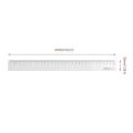 Deli 30cm Plastic Ruler-5pcs. 