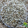 Kusum Ful(Safflower) seed-1kg. 