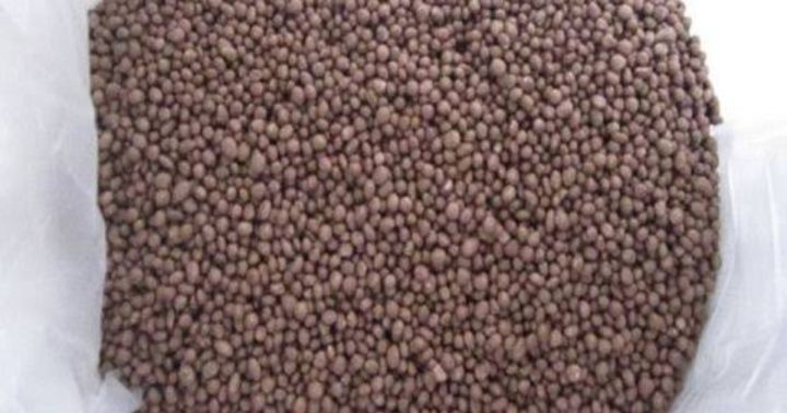 DAP%20fertilizer%20(%E0%A6%A1%E0%A6%BF%20%E0%A6%8F%20%E0%A6%AA%E0%A6%BF%20%E0%A6%B8%E0%A6%BE%E0%A6%B0)-%202%E0%A6%95%E0%A7%87%E0%A6%9C%E0%A6%BF%20-%20Image%203