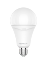 Megaman LED Bulb 15W. 
