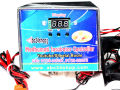 AC Egg Incubator Temperature Controller Set For Up to 300 Eggs. 