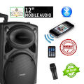 Microphone,  Wireless,  Bluetooth, Rechargeable 12" Speaker with Portable Trolley music instruments disc jockey Sound box. 