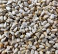Kusum Ful(Safflower) seed-1kg. 