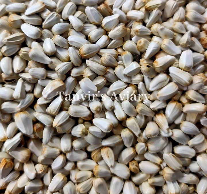 Kusum%20Ful(Safflower)%20seed-1kg%20-%20Image%204