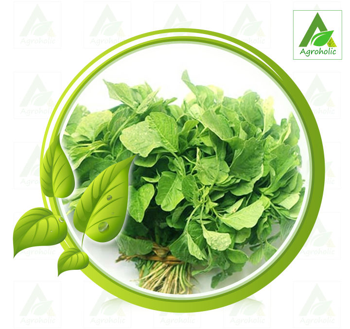 Sobuj%20Shak-%2025%20gm%20-%20Image%202