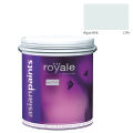 Asian Paints Royale Luxury Silk Emulsion Glitter (Gold) - Aqua Hint.
