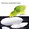 Cuttlebone Cuttlefish Bone Cuttle Fish Bird Food 100g. 