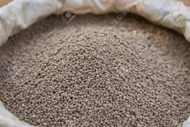 DAP%20fertilizer%20(%E0%A6%A1%E0%A6%BF%20%E0%A6%8F%20%E0%A6%AA%E0%A6%BF%20%E0%A6%B8%E0%A6%BE%E0%A6%B0)-%202%E0%A6%95%E0%A7%87%E0%A6%9C%E0%A6%BF%20-%20Image%202