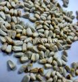 Kusum Ful(Safflower) seed-1kg. 