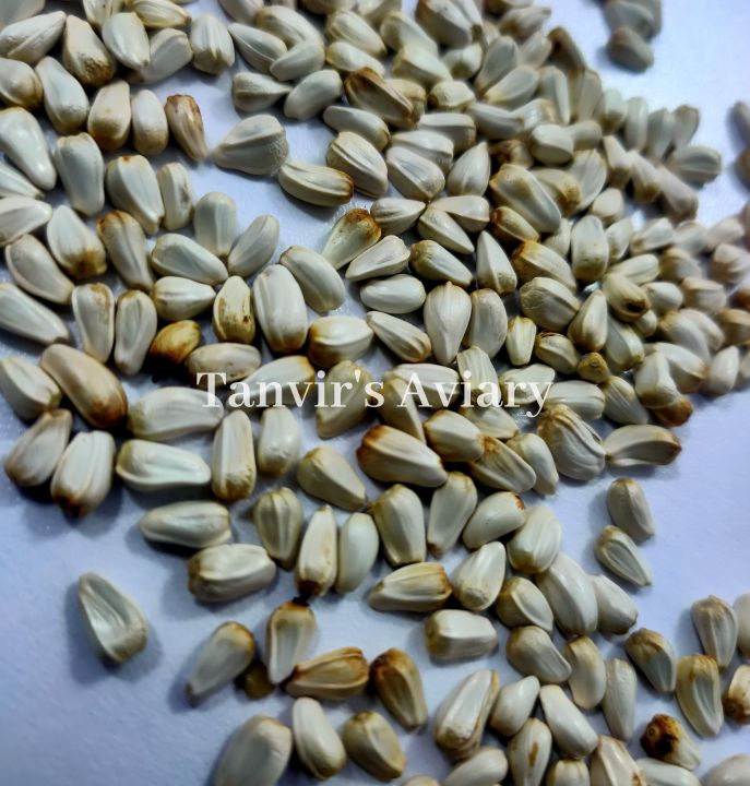 Kusum%20Ful(Safflower)%20seed-1kg%20-%20Image%203