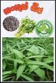 Vegetable Seeds 5Packets. බීජ වර්ග 5 ක්.. 