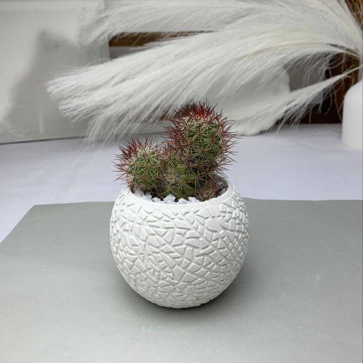 Concrete%20Pot%20Cactus%20&%20Succulent%20Cement%20Planter%20Unique%20Square%20and%20Round%20Design%20Garden%20Home%20Decor%20Gift%20Pot%20Indoor%20Plant%20Pot%20Flower%20Vase%20Cement%20Pots%20Planter%20for%20Indoor%20and%20Outdoor%20-%20Image%209
