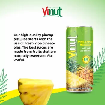 Vinut%20Fruit%20Juice-Pineapple%20-%20330ml%20#FM%20-%20Image%202
