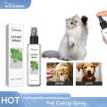 【High-quality】 Cat Catnip Spray Inducer Training Catmint Pet Attractant Discourage Clawing Soothe Mood Healthy Pets Mint. 