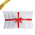 3Q Premium PP Cushion Set – 4 Pack with Soft Corduroy Cushion Covers (16" x 16") BUNDLE OFFER. 