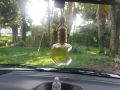 100% Natural Harmless Air Freshener For Vehicles Cinnamon Oil. 