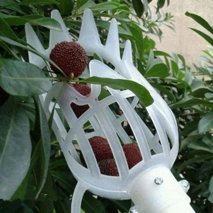 Portable%20High-altitude%20Fruit%20Picker%20Picking%20Loquat%20Picking%20Bayberry%20Tool%20Head%20Plastic%20Fruit%20Catcher%20Peach%20-%20Image%204