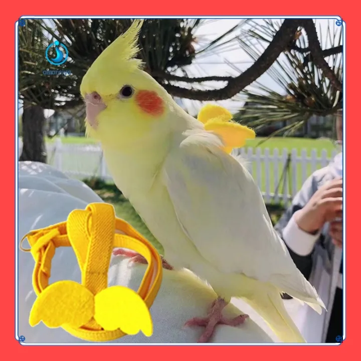VibeVendor%20AMAR%20Lightweight%20Bird%20Harness%20Parakeet%20Parrot%20Harness%20Hauling%20Rope%20Close-fitting%20for%20Bird%20-%20Image%202