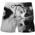 Animal cat 3D print Board Shorts Trunks Summer New Quick Dry Beach Swiming Shorts Men Hip Hop Short Pants Beach clothes. 