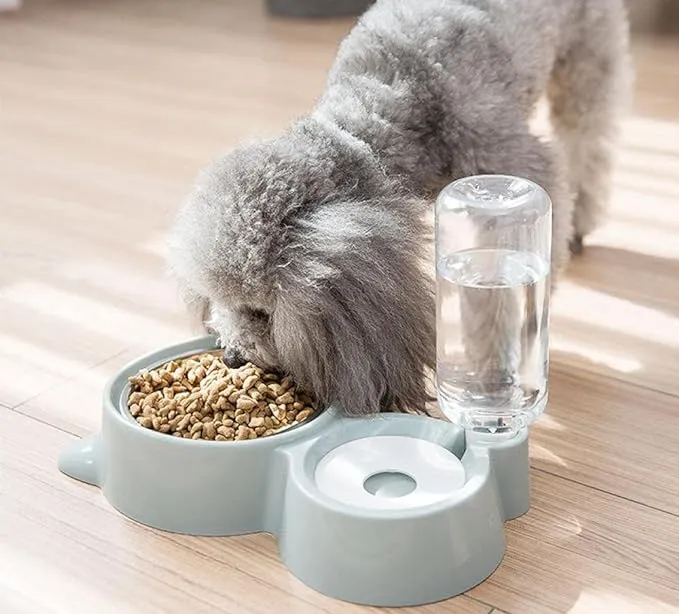 Animal Bowls Pet Bowls Pet Bowl Anti Tipping Automatic Drinker Non Wet Mouth Stainless Steel Double Bowl Cat Food Bowl Cat Bowl Dog Bowl Dog Bowl