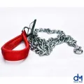 Stainless Steel Chain Dog Training Pet Supplies 1.6M. 