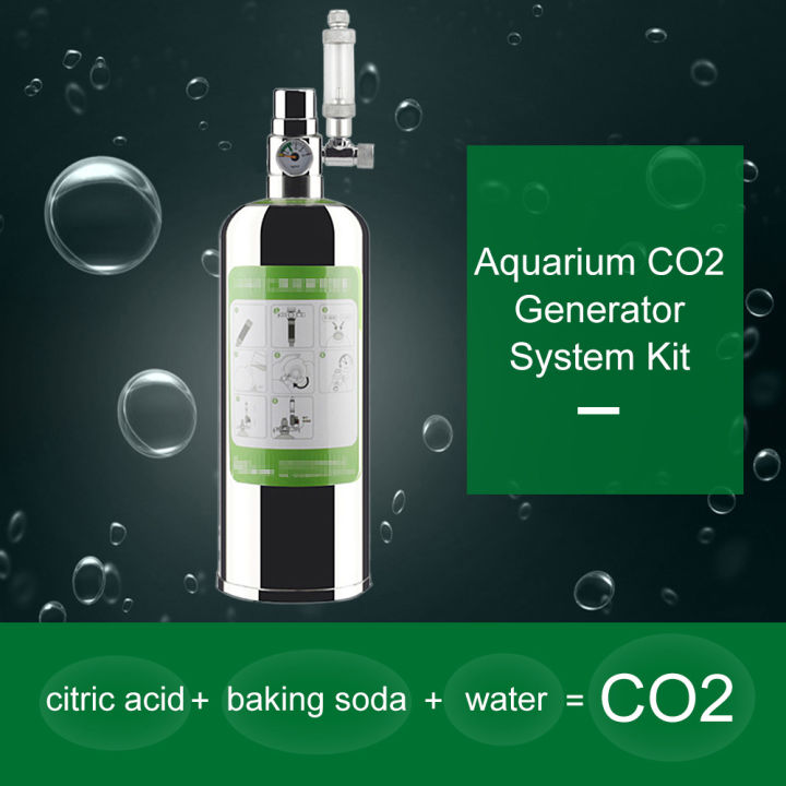 2L%20Double%20Aquarium%20CO2%20Generator%20System%20Kit%20CO2%20Stainless%20Steel%20Cylinder%20Generator%20System%20with%20Bubble%20Diffuser%20Carbon%20Dioxide%20Reactor%20Kit%20for%20Plants%20Aquarium%20-%20Image%204