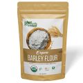 Organic Zing Organic Barley Flour | Organic Hulled Barley ground into Flour | High in Fiber - USDA Organic Certified | Vegan | Preservative Free | Product of India - 16 oz resealable pack(FROM INDIA)JEZ. 