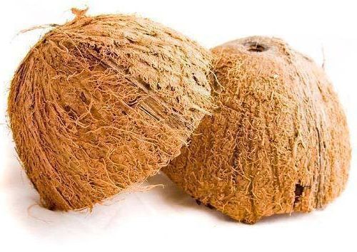 1Kg%20Sri%20Lankan%20Coconut%20Shells%20%20%7C%20Natural%20Organic%20Coconut%20Shells%20for%20Coconut%20Productions%20,%20Charcoal%20-%20Image%202