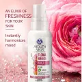 Ayouthveda Floral Breeze Face & Body Mist For Men & Women | Hydrates & Refreshes the Skin | Also Work As Makeup Setter |Free From Harsh chemicals | (Pack Of 1-100ml)(FROM INDIA)JEZ. 