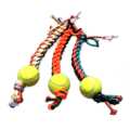 Dog Tennis Playing Toy. 