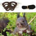 Sugar Glider Outdoor Traction Rope Small Pet Chest Strap Windproof Anti Lost Rope. 