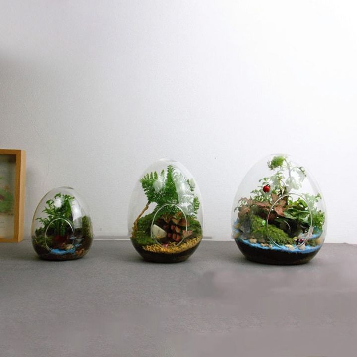 %E3%80%90HOT%E3%80%91%20Creative%20Egg-Shaped%20Glass%20Bottles%20Succulent%20Glass%20Vase%20Hydroponic%20Fleshy%20Micro%20Landscape%20Glass%20Terrarium%20Moss%20Home%20Decoration%20-%20Image%203