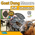 Goat Dung Compost Fertilizer Agriculture Home Garden 2KG. 