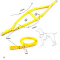 Medium Adjustable Dog Harness and Outdoor Walking Nylon Dog Leash Lead Pets Dog Sale Durable Traction Training Rope Dog Belt Dog Chain Dog Body Belt Chest Belt Step-in Harness Strap Stainless Steel Metal Buckle Plastic Clasp Dog Collar Dog Strap Dogs Belt. 