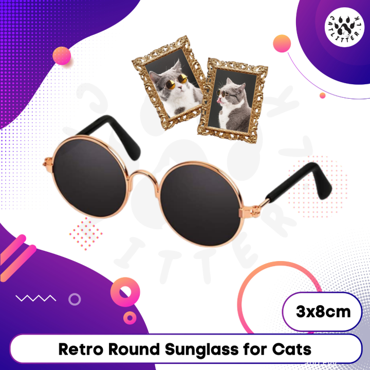 Retro Sunglass for Cat toy