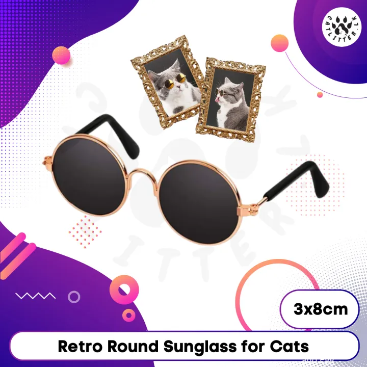Retro Sunglass for Cat toy