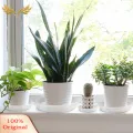 SuperRide Prevent Root Rot Plant Tray Clear Round Plant Saucers Set of 4 Reusable Tray for Indoor Outdoor Potted Plants Flower Pot Drainage Saucer for Odorless Plant Tray. 