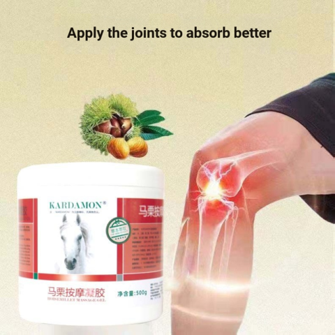 German%20Horse%20Cream%20Horse%20Chestnut%20Massage%20Gel%20Waist%20Leg%20Shoulder%20Neck%20Body%20Damage%20Repair%20Soothing%20250ml%20(FROM%20MALAYSIA)%20-%20Image%202
