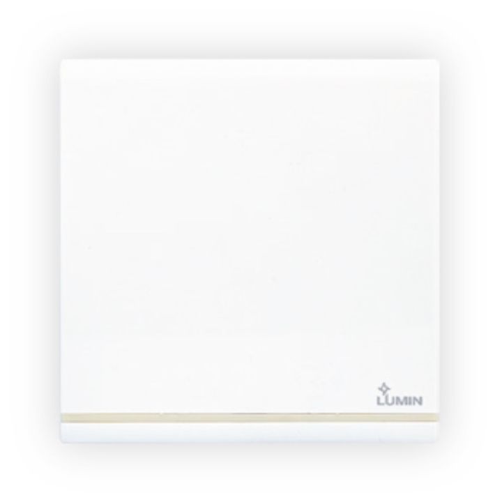 Single Intermedia Switch Dimo Lumin Warranty Lifetime