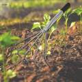 Gardening Hand Rake Grass Rake for Sweep Leaves Tilling Soil Loose Debris Handle length 28cm. 