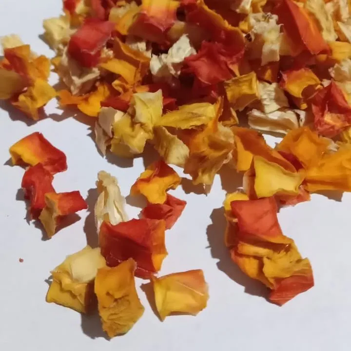 Dehydrated%20Mix%20fruit%20cubes%20100g%20bottle%20-%20Image%202