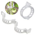 Garden Tomato Trellis Clips Perfect for Tomatoes, Cucumbers, Peppers, Melons, and other vine crops, flowers and plants Plant Support Clip. 